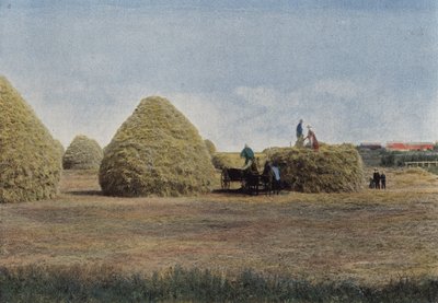Wheat Stacks in Manitoba by European Photographer
